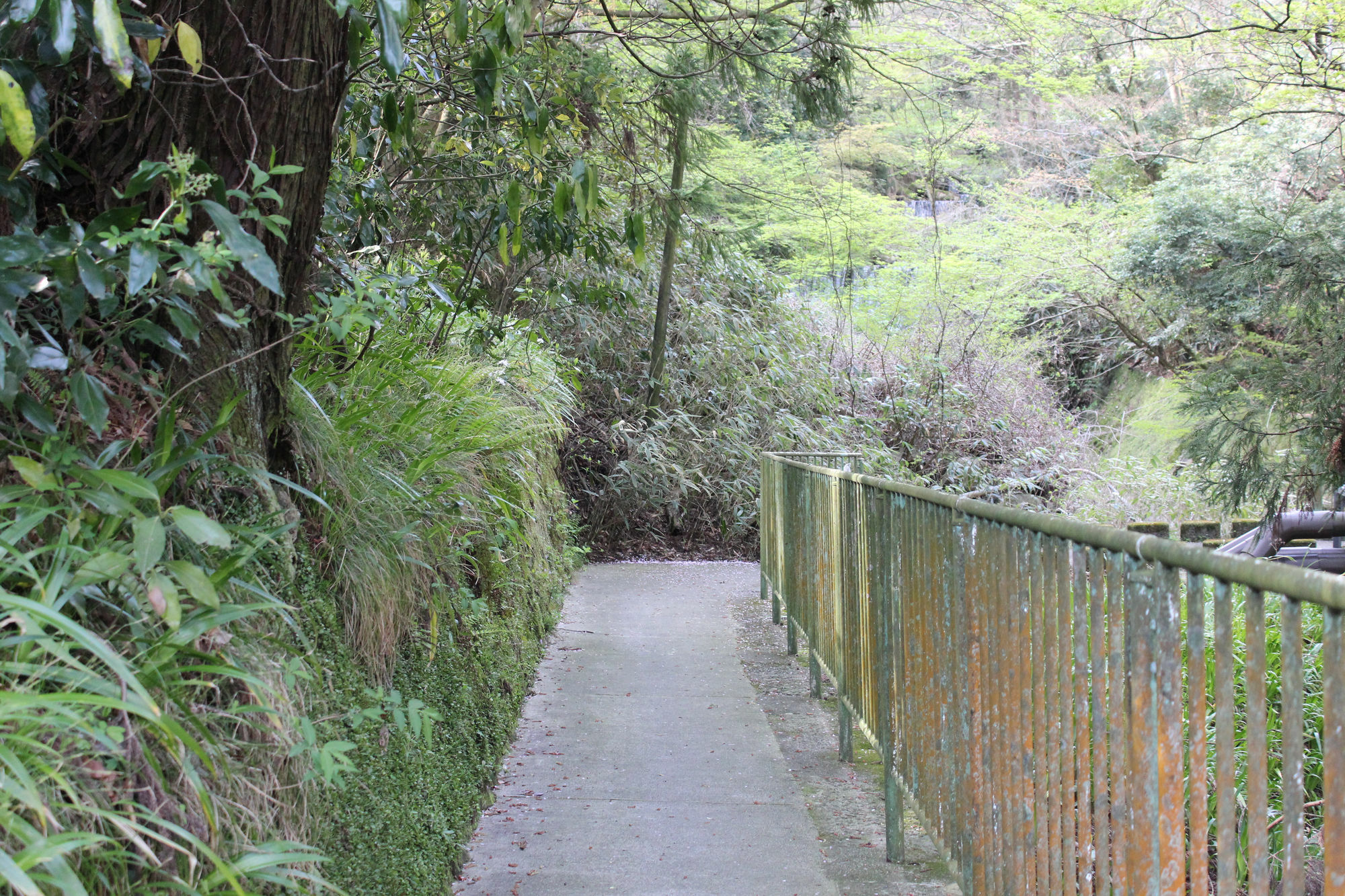 Hakone Guesthouse Toi Экстерьер фото
