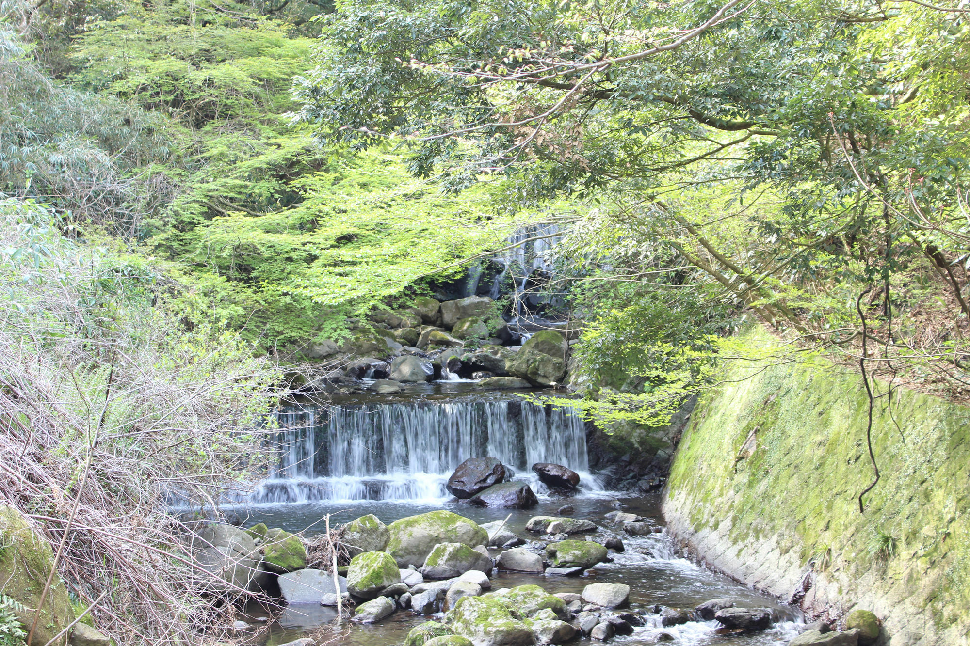Hakone Guesthouse Toi Экстерьер фото